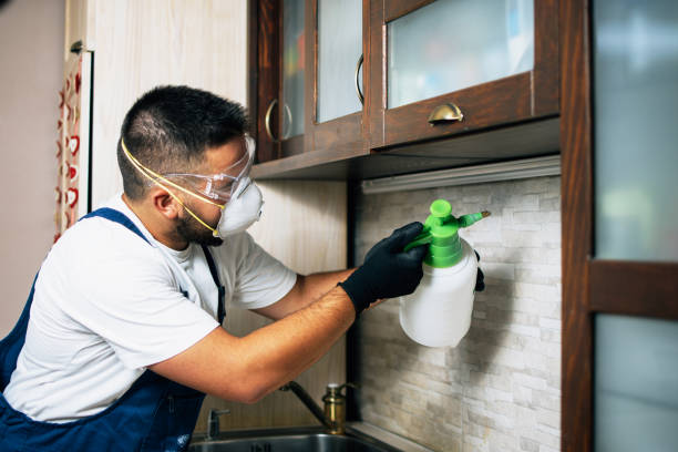 Best Insect Control  in Boston, GA