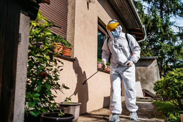 Pest Prevention Services in Boston, GA
