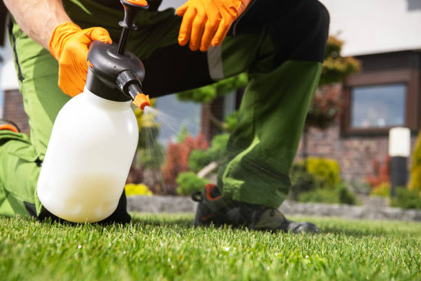 Best Pest Inspection Near Me  in Boston, GA