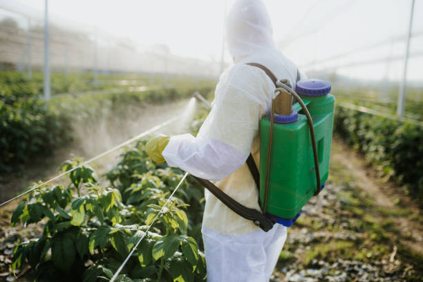Best Commercial Pest Control Services  in Boston, GA